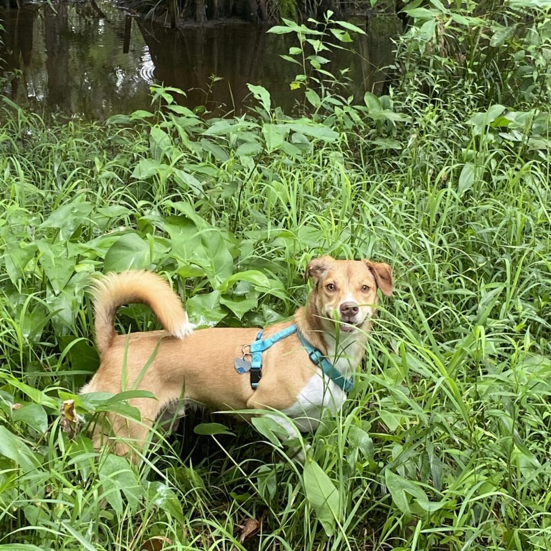 Riley, in alabama